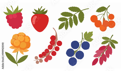 Whimsical Berry Vector Illustration Set with Raspberry, Strawberry, Rowan, and More