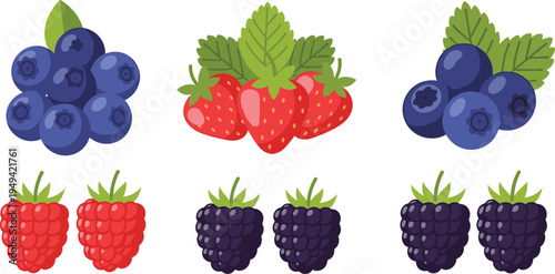 Berry Fruits Collection with Blueberry Strawberry Raspberry and Blackberry Fresh Organic Sweet Food Vector Illustration Set