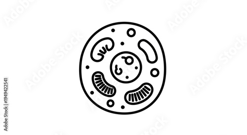 Cell Biology Icon: Simple Line Art of Animal Cell with Nucleus and Mitochondria
