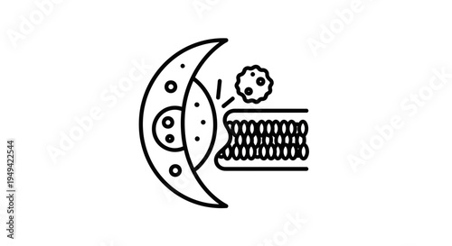 Cell membrane transport of molecules and cellular processes