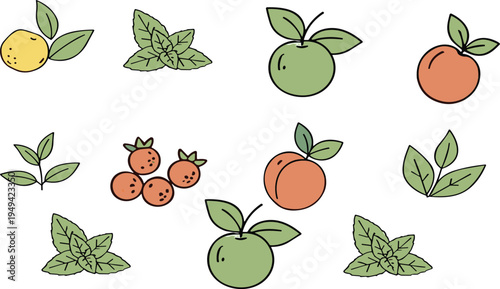 Hand Drawn Fruit and Leaf Collection with Apple Orange Lemon Berries and Herbal Leaves Botanical Vector Illustration Set