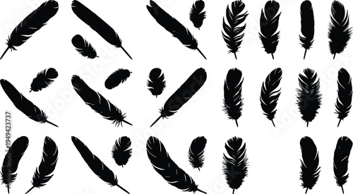 Bird feather silhouettes collection with various natural plume shapes isolated on white background, wildlife nature decorative vector elements set