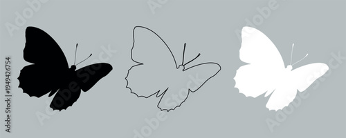 Set of 3 Butterfly Silhouettes Vector Icons: Black Solid, Outline, and White Solid Butterfly Shapes for Design Elements and Decorations