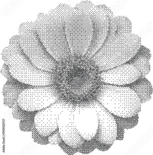 Halftone illustration of a large white flower with gray shading and black dots on white background