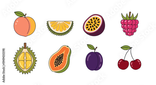 Illustrated fruit collection on white