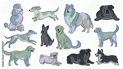 Set of cute varied dog breeds in pastel color illustration, concept for pet shop branding, veterinary clinic promotion and animal shelter advertising