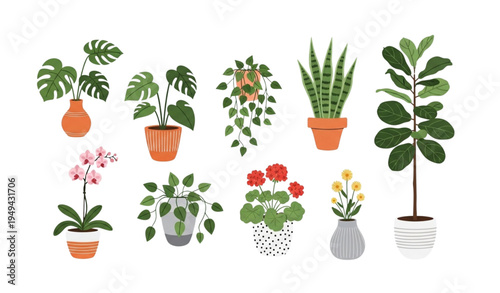 Cute House Plant Vector Illustration Set with Potted Flowers and Indoor Greenery