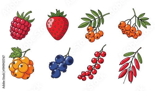 Cute Berry Vector Set with Raspberry, Strawberry, Rowan, Cloudberry, Currant, Blueberry, and Barberry