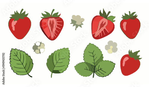 Cute Strawberry Vector Set with Whole and Halved Berries Leaves and Flowers