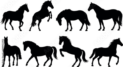 Set of horse silhouettes in different poses isolated on white, wild stallion collection vector illustration for design, logo and equestrian themes