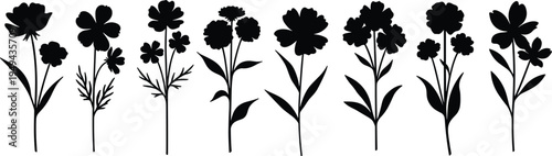 Black silhouettes of various flowers and plants on white background