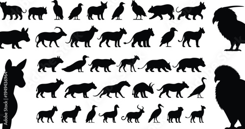 Black silhouettes of various animals on white background animal silhouettes black animals wildlife silhouette collection