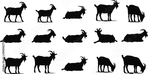 Black silhouettes of goats in various poses white background animal