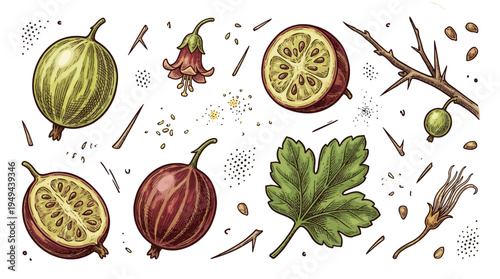 Fresh guava fruits and leaves scattered on a surface with spices