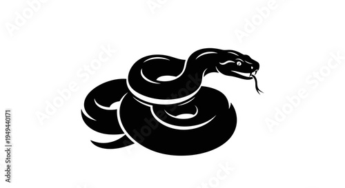 Black Cobra Snake Silhouette coiled and ready to strike, isolated on white background