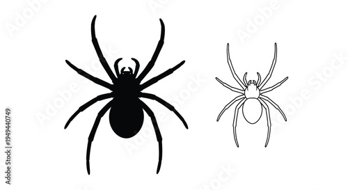 Two spiders in contrasting styles solid black and white outline