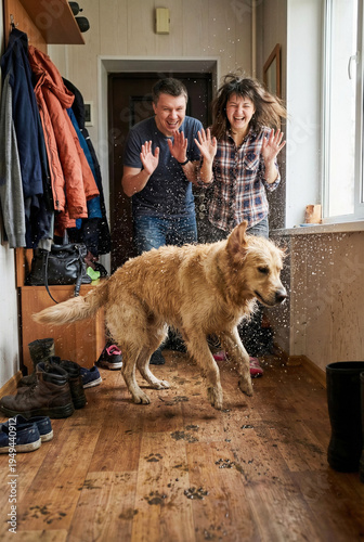 Funny dirty golden retriever dog shaking off wet mud in hallway while happy couple owners laugh, concept of pet mess, house cleaning and real life