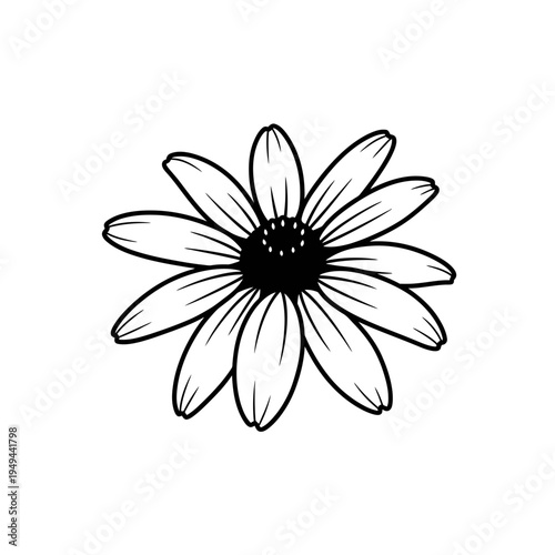 Black and White Flower Outline vector illustration