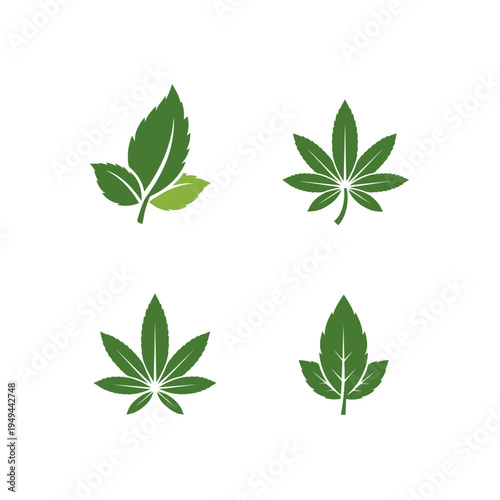 Green Leaf Logo Vector Set vector illustration