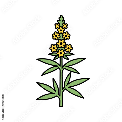 Goldenrod Flower Icon Isolated on White vector illustration