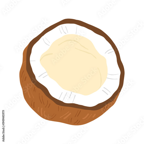 Half coconut with white pulp isolated on white background. Tropical fruit illustration, natural food ingredient