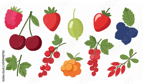 Assorted Berry Vector Illustration Collection in Hand Drawn Flat Style