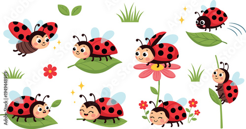 Cute Ladybug Cartoon Character Collection with Flowers, Leaves, and Grass, Adorable Garden Insect Vector Set for Spring Nature and Kids Design