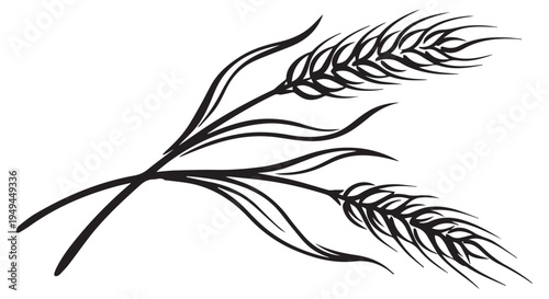 A simple black and white illustration of wheat stalks on a plain background