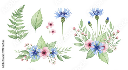 Watercolor Floral Design Elements Blue Cornflowers Pink Flowers Ferns Leaves EPS10 Stock.eps