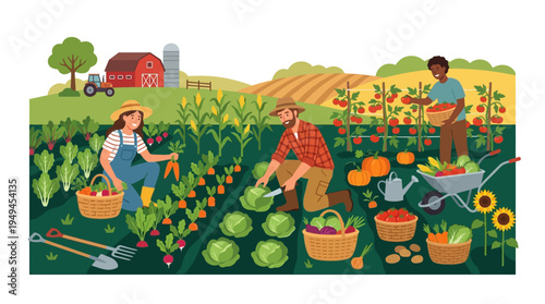 People Harvesting Vegetables Outdoors.