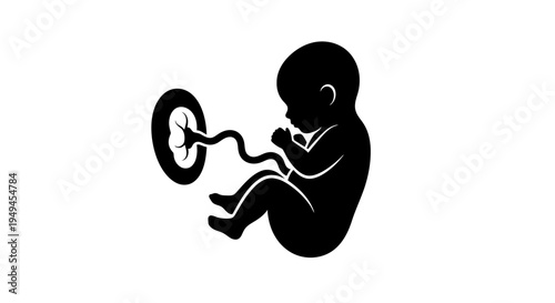 Black silhouette of a human fetus with umbilical cord and placenta, representing prenatal development and early life stages.