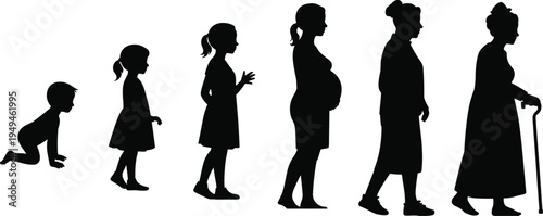 life, stages, woman, silhouettes, aging, growth, childhood, pregnancy, adulthood, elderly, lifecycle, people, generation, timeline, vector