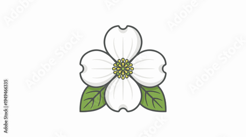 Elegant Dogwood Flower Illustration with Green Leaves.