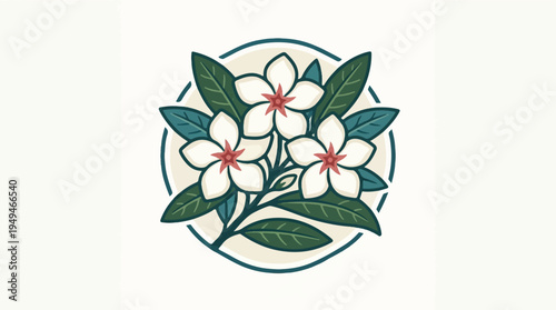 Elegant Plumeria Flowers with Lush Green Leaves in a Circular Frame.