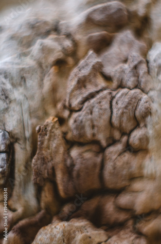 Texture of old soil under the influence of water of a soft sand color