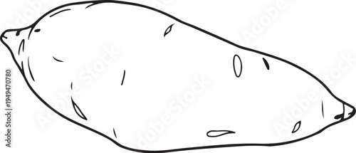 Sweet potato Hand-drawn Sketch Drawing Vector Illustration, Line Linear Symbol Black and White Engraving, Isolated