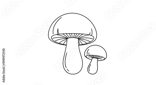 Simple black and white line art drawing of two forest mushrooms on a white background for coloring or design work.