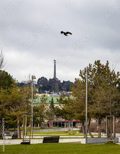 Photography Slavin War Memorial Bratislava distant city view with monument on hill