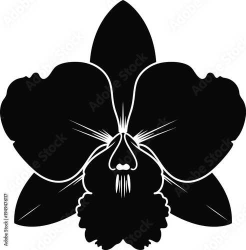 Black orchid flower silhouette elegant exotic blossom vector icon graphic
