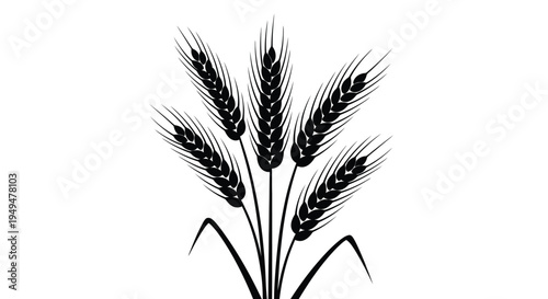 Black and white illustration of several wheat stalks with flowing grains