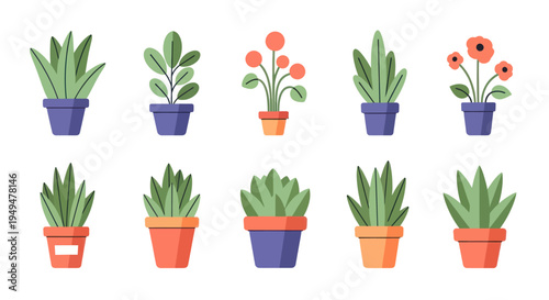 Collection of decorative potted plants for home and office interior design