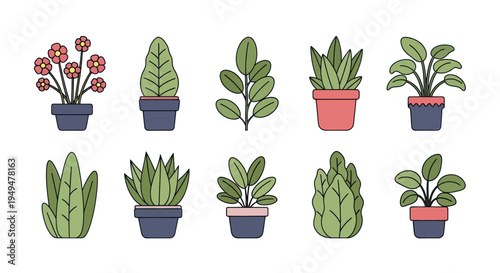 Collection of decorative potted plants illustrations vector elements isolated