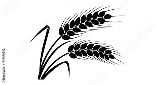 Black and white illustration of wheat stalks with full grain heads