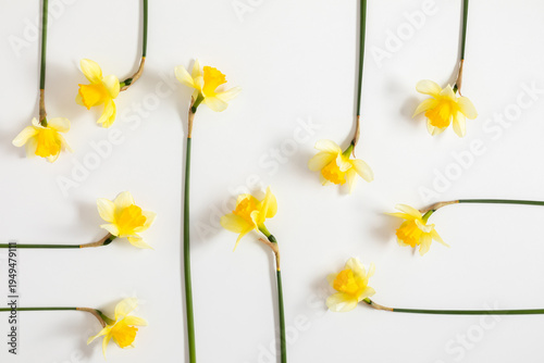 Minimalist Spring Pattern with Yellow Daffodils on White Background. Top View Flat Lay of Narcissus Flowers with Green Stems. Floral Creative Layout, Easter Greeting Card Concept, Copy Space.
