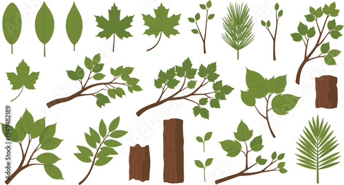Tree Leaves Branches and Trunk Botanical Elements Vector Collection with Maple Oak Pine and Forest Foliage Parts for Nature Design Isolated on White Background.