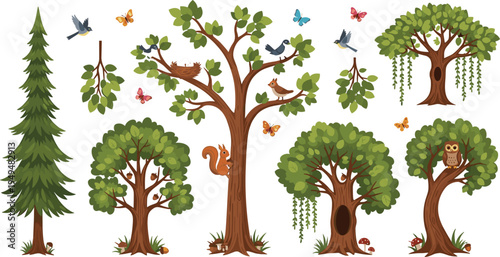 Forest Tree Collection Vector Illustration with Wildlife Birds Butterfly Squirrel Owl and Various Woodland Trees Nature Scene Elements Isolated on White Background.