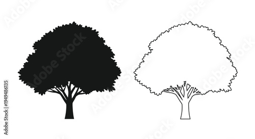 Two trees presented in contrasting black and white silhouettes