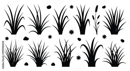 Black and white illustration of various grasses pebbles and floral elements