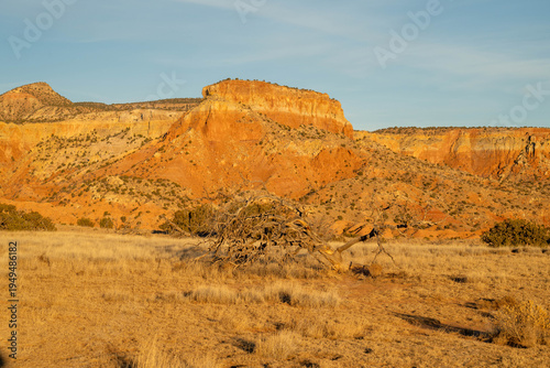 Obraz na płótnie red rocks in the desert