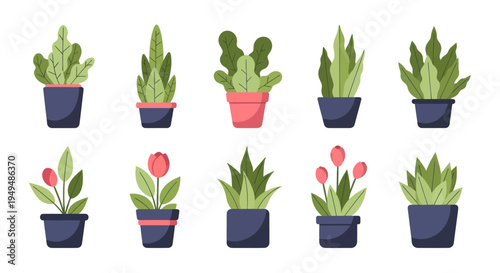 Collection of stylized potted plants isolated on white background
